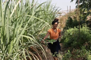 גן_החיים_סתיו (1030 of 1178)