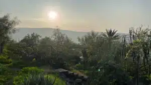 ייעוץ וליווי סליידר 14(1)