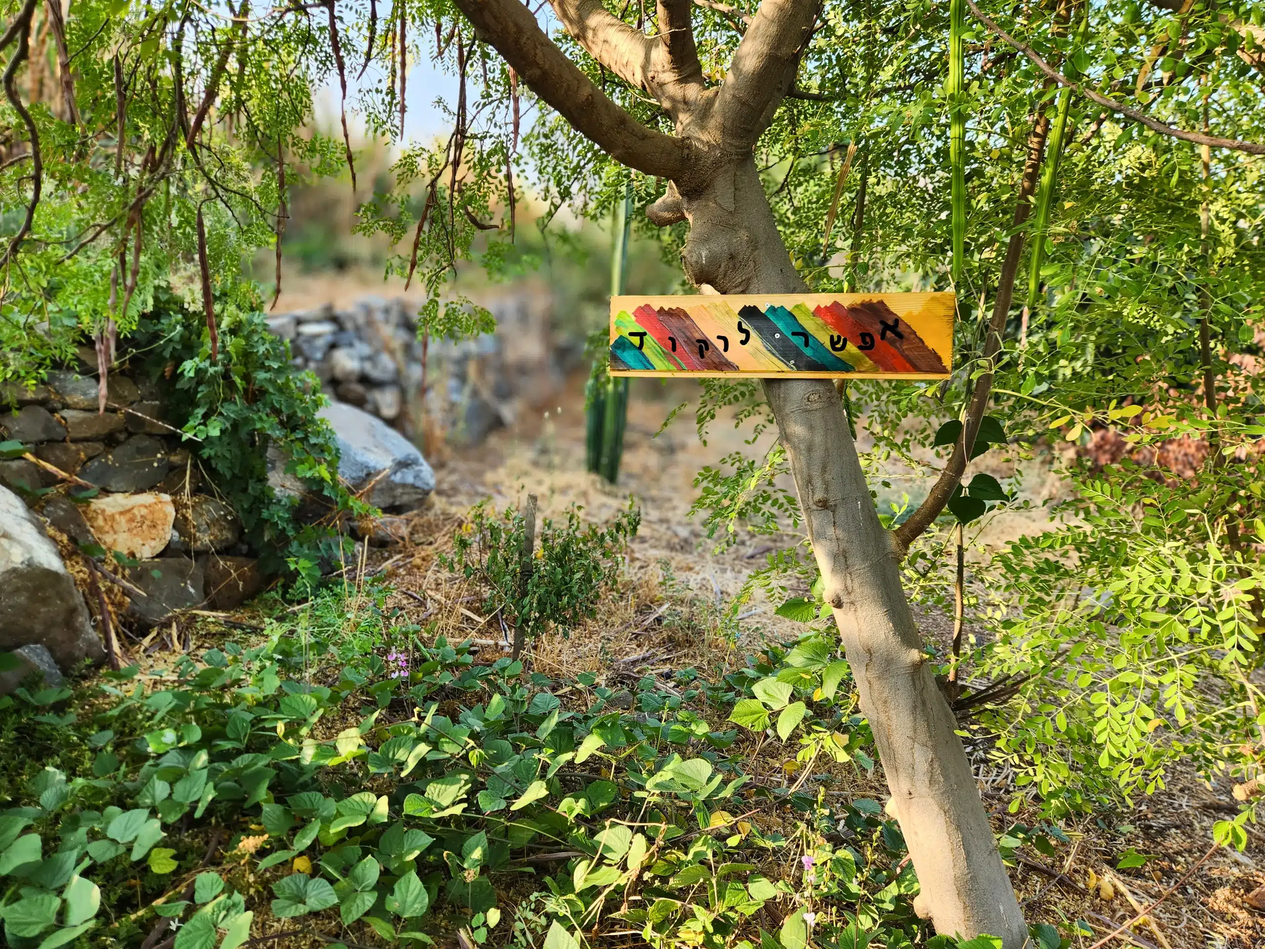 23- הרופא הפנימי גן החיים סליידר