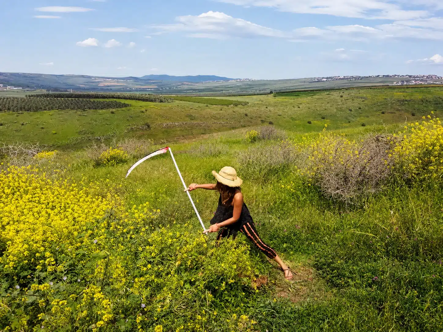 14 - אקולוגיה מעשית סליידר גן החיים