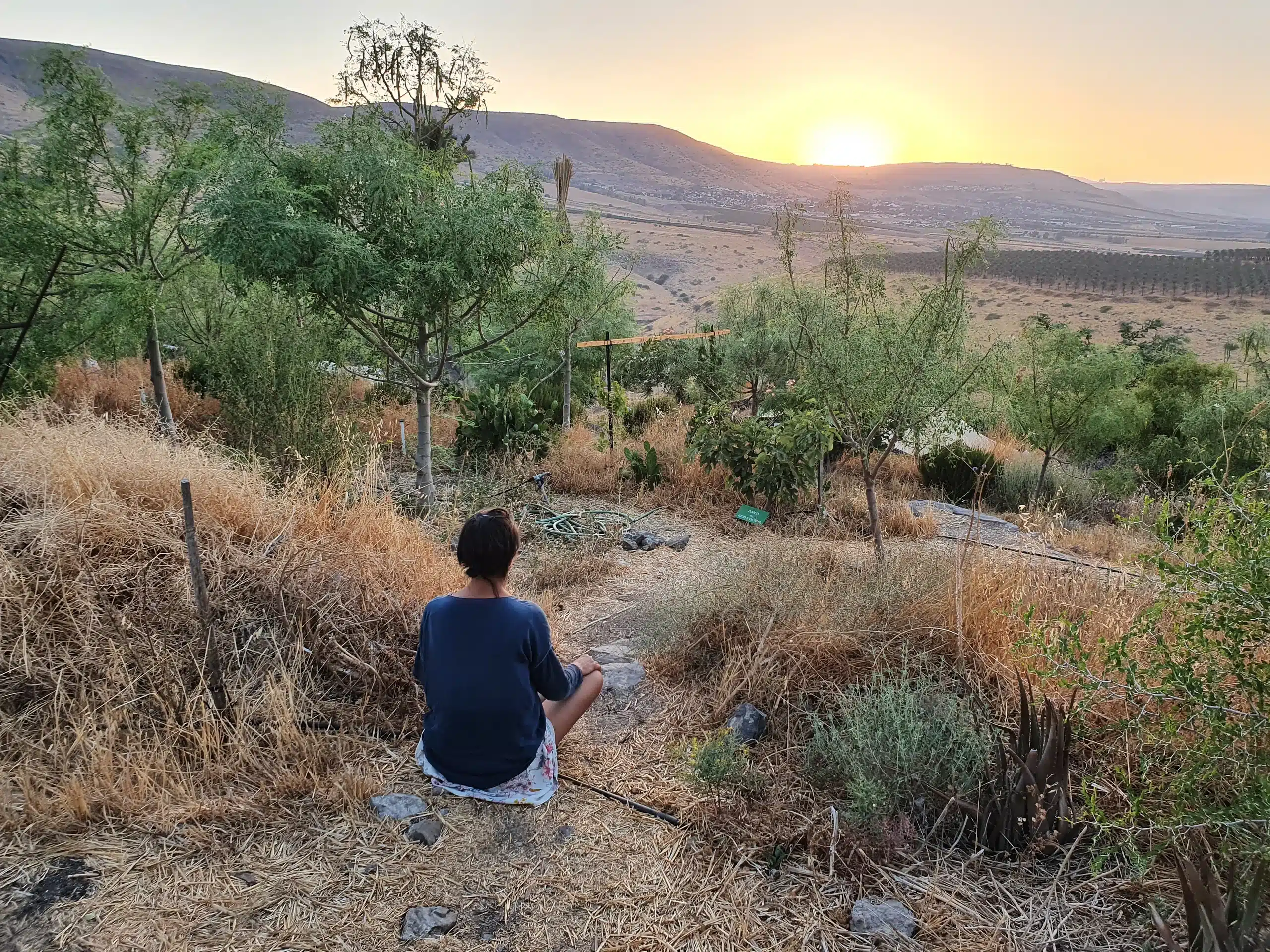 15 מעגל בריאות סליידר גן החיים