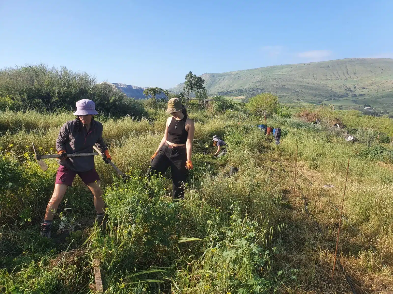 44 - מכינה לחיים סליידר