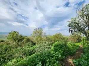 השבחת אדמה - קורסים וסדנאות