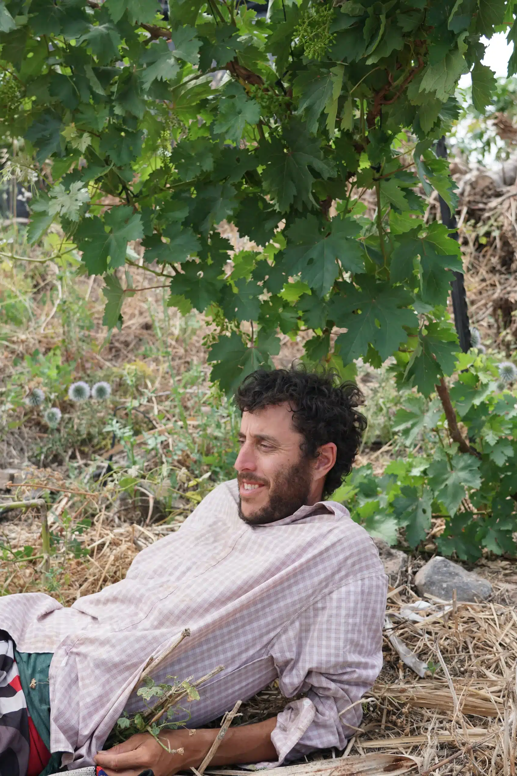 נעים להכיר
