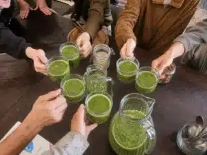 הרופא הפנימי 1