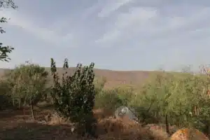 ייעוץ וליווי סליידר 14 (1)