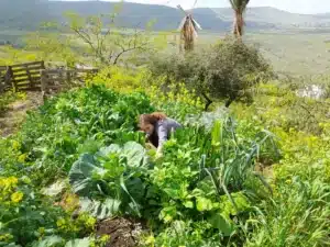 ייעוץ וליווי סליידר 14 (2)