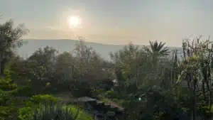 ייעוץ וליווי סליידר 14 (4)