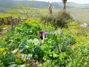 ייעוץ וליווי סליידר 14(2)